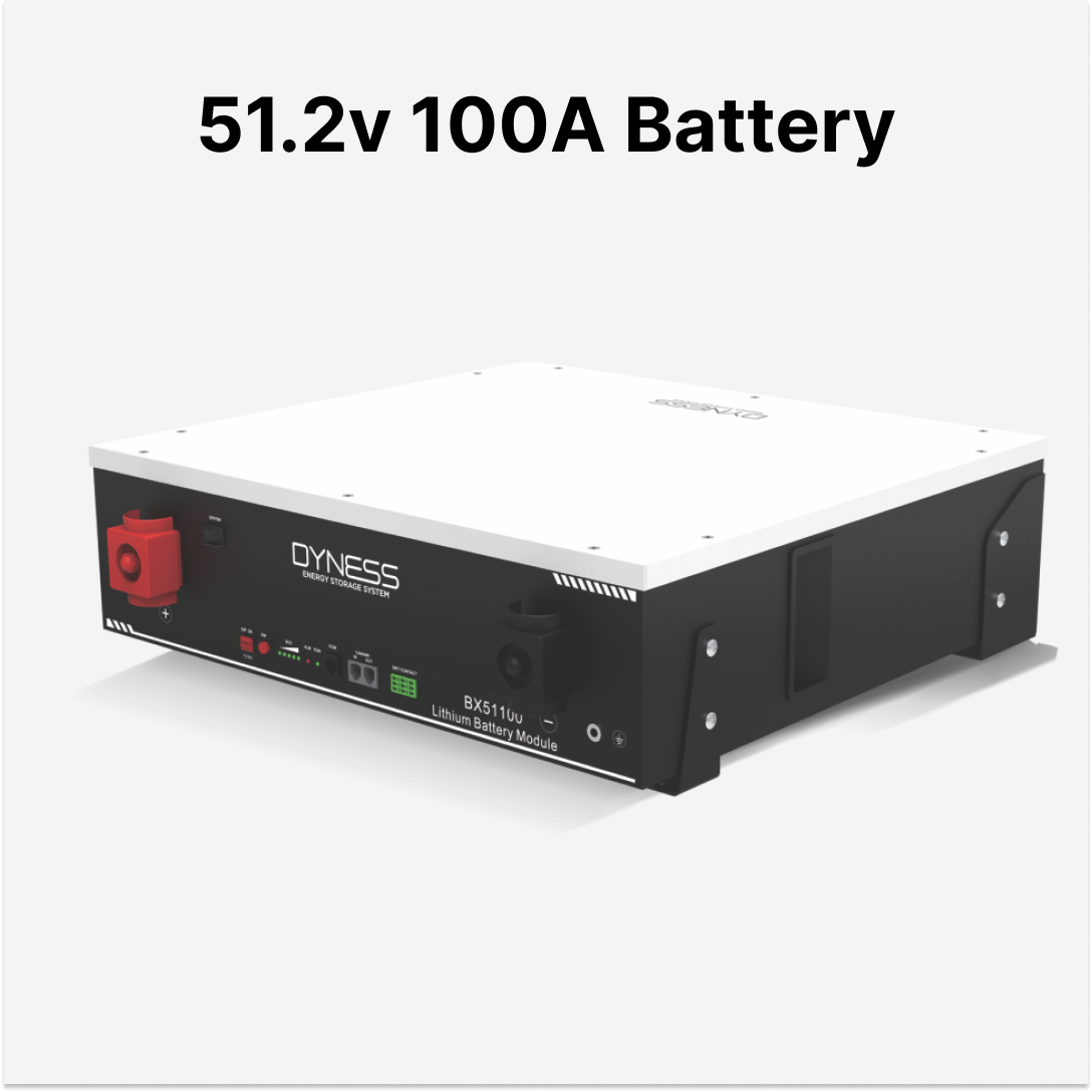 Dyness Lithium Battery 51.2V 100Amp 8000 LifeCycle